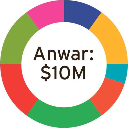 Pie chart of Anwar investments 10 million