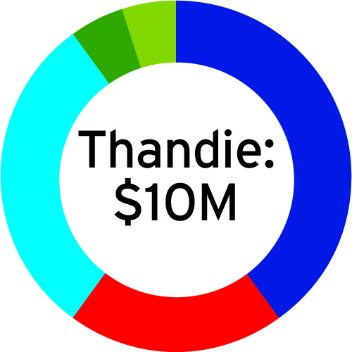Pie chart of Thandie's ten million dollars investment scheme