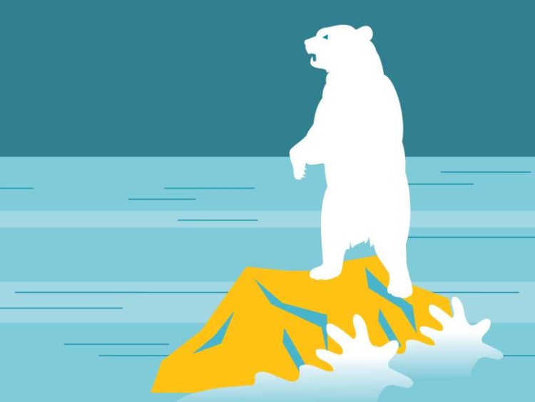 Angry bear market